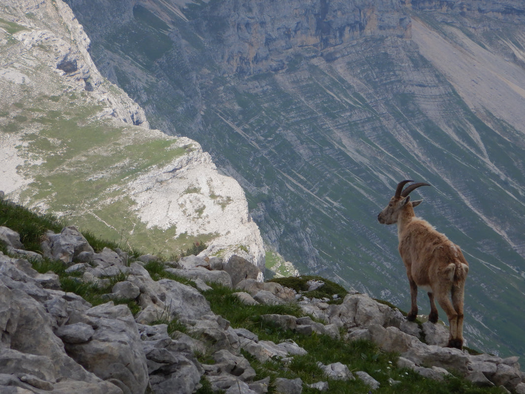 Bivouac dans le Vercors - 3 jours