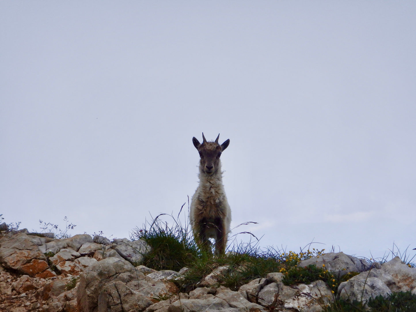 Bivouac dans le Vercors - 3 jours